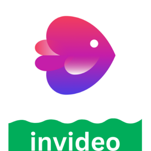 Invideo Premium BD Buy bKash in Bangladesh